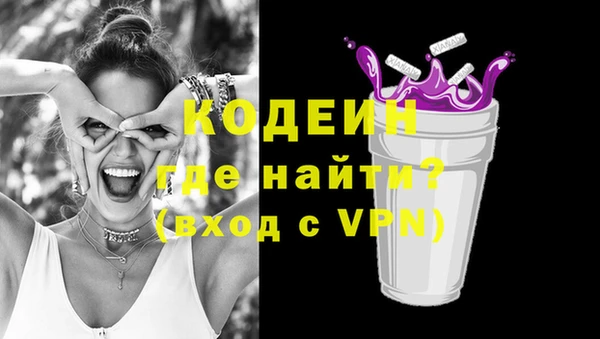 молекула духа Медвежьегорск