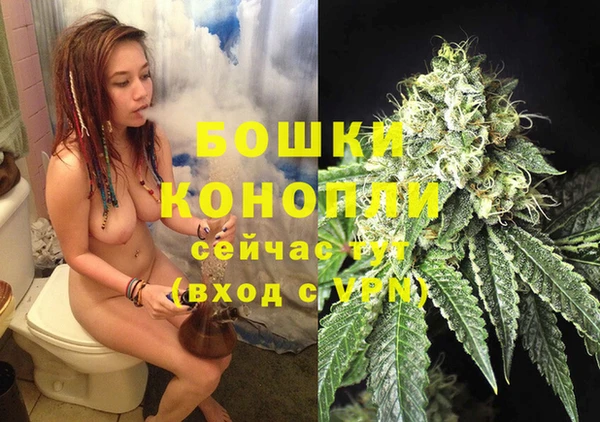 молекула духа Медвежьегорск