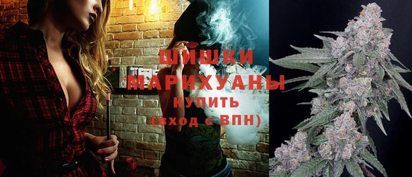 молекула духа Медвежьегорск