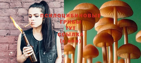 мяу мяу мука Анжеро-Судженск