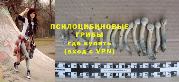 молекула духа Медвежьегорск