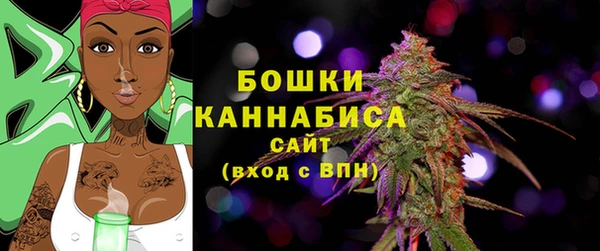 молекула духа Медвежьегорск