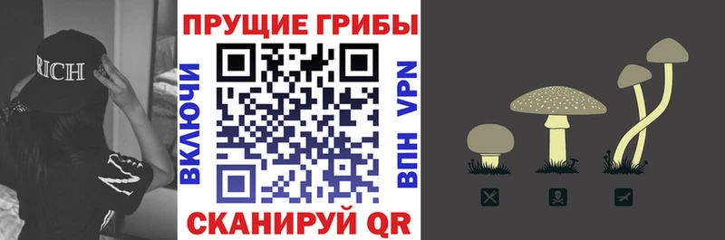 Псилоцибиновые грибы мицелий где продают kraken маркетплейс Дятьково