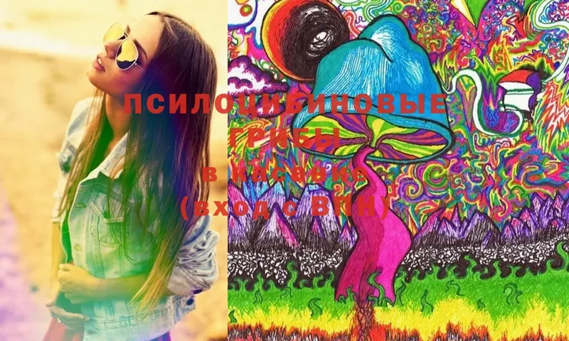 Псилоцибиновые грибы MAGIC MUSHROOMS  Дятьково 