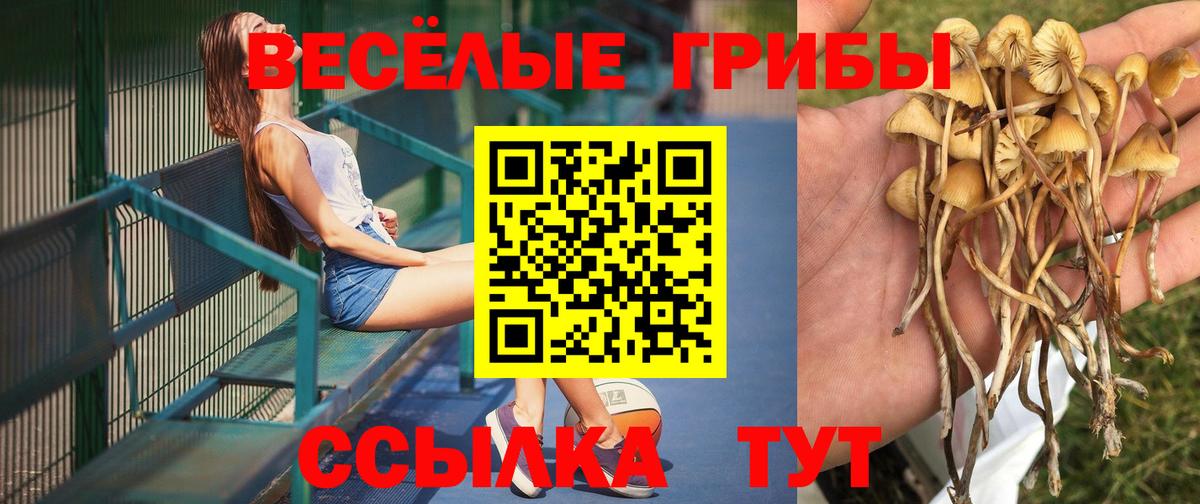 Дятьково  купить закладку  Вход с VPN  Псилоцибиновые грибы мухоморы  Галлюциногенные грибы прущие грибы 