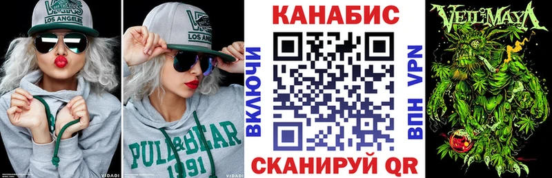 Конопля сатива  Дятьково 